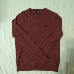 EXPRESS Maroon Sweater